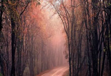 NG体育官网：1-2！43岁阿隆索跌落神坛，德丙小球队一路逆袭，连斩4强敌进决赛.