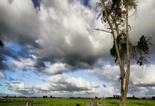 NG体育官网：6次交手1胜5负，丁俊晖定律恐再度延续，威尔逊.