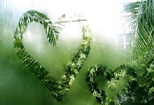 NG体育官网：津媒：伊万将回京对3月份世预赛总结，其帅位比较稳固.