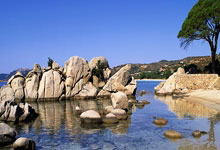 NG体育官网：梅西&内马尔伤缺！巴阿大战票价：最低档约609元人民币 最高3248.